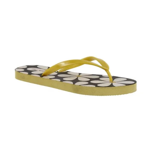 Regatta Womens/Ladies Daisy Flip Flops